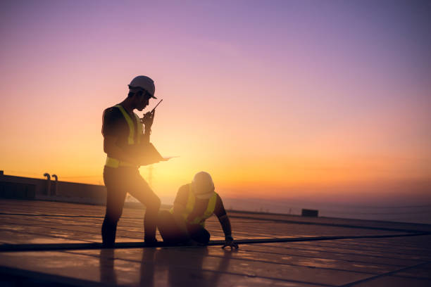 Best Metal Roofing Contractor  in Alton, TX